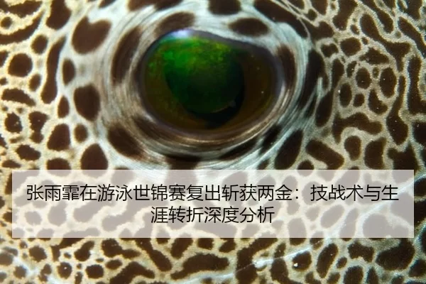 张雨霏在游泳世锦赛复出斩获两金：技战术与生涯转折深度分析